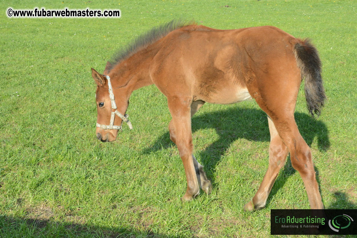 Sunday Night Hanging with Friends