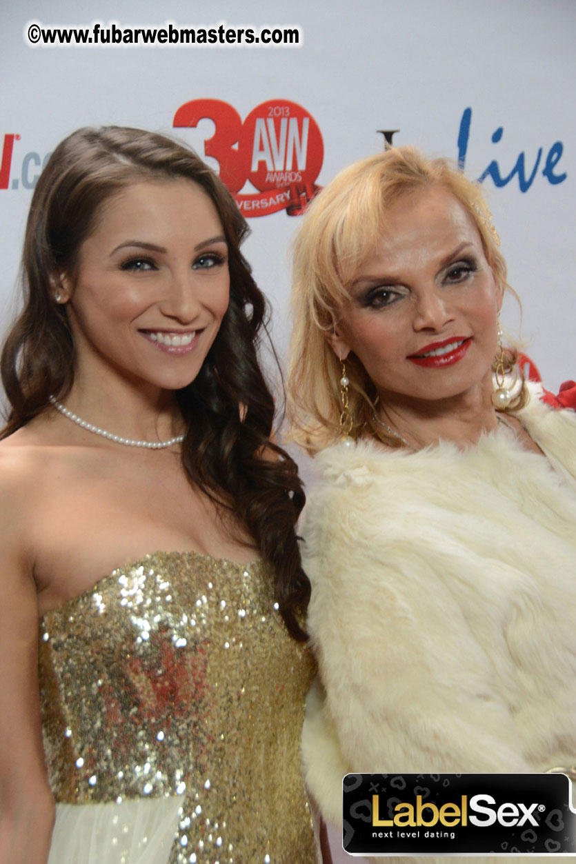 Red Carpet Arrivals for the AVN Awards