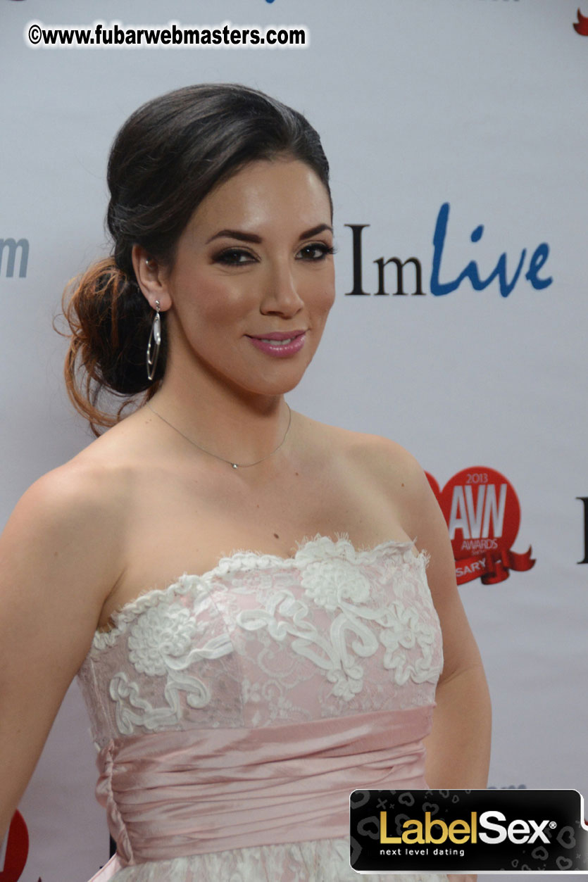 Red Carpet Arrivals for the AVN Awards