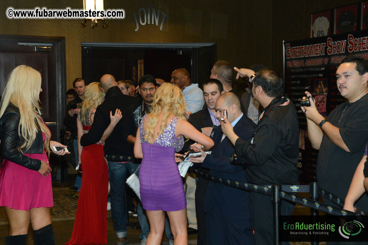 2013 AVN Awards Show