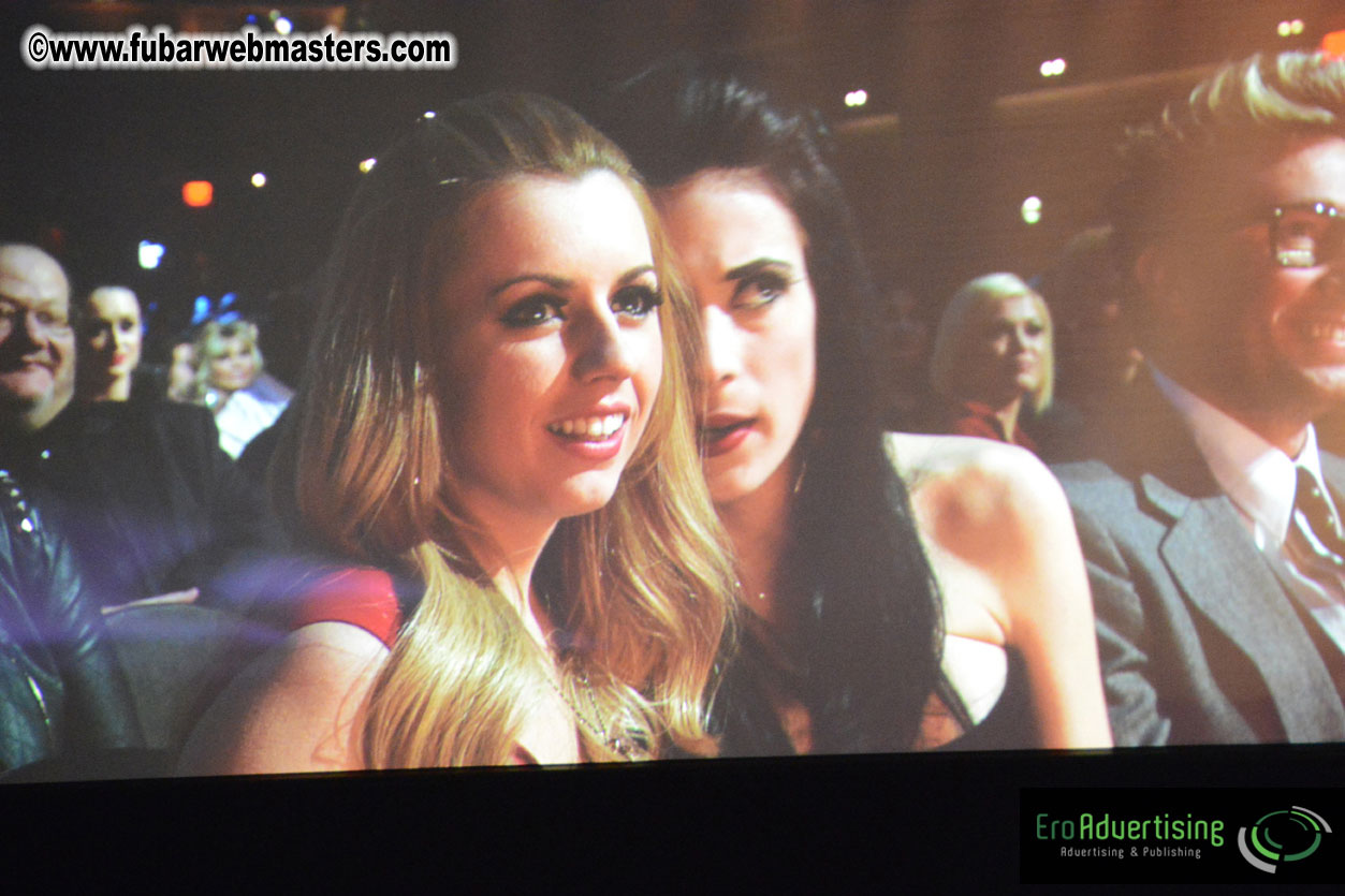 2013 AVN Awards Show