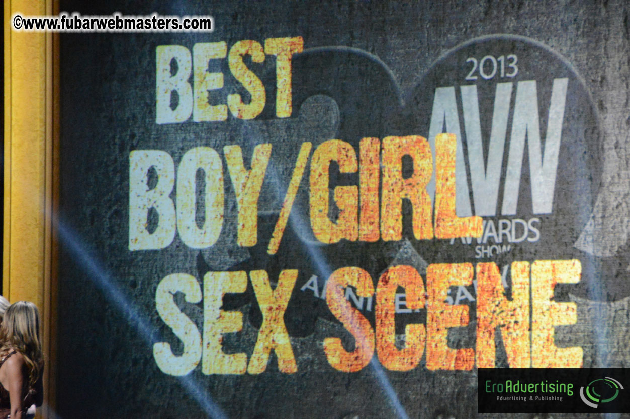 2013 AVN Awards Show