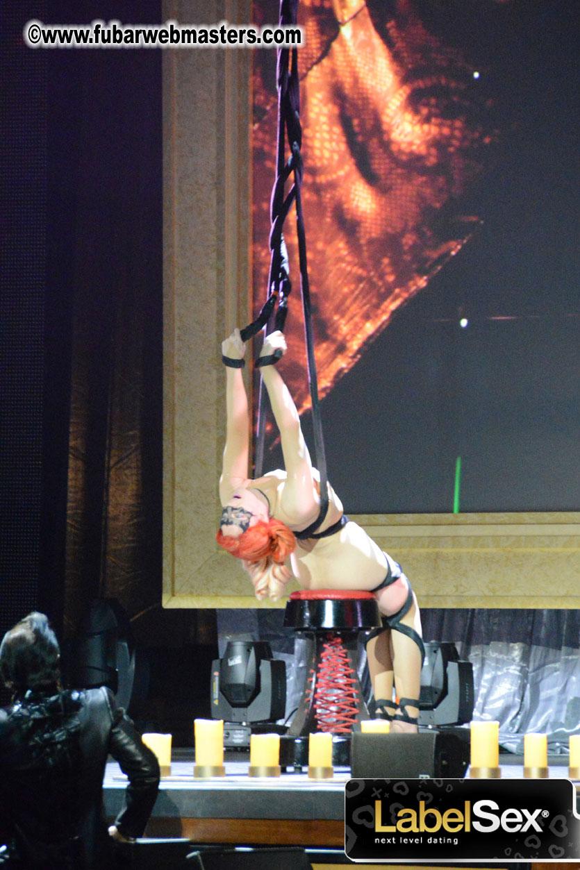 2013 AVN Awards Show