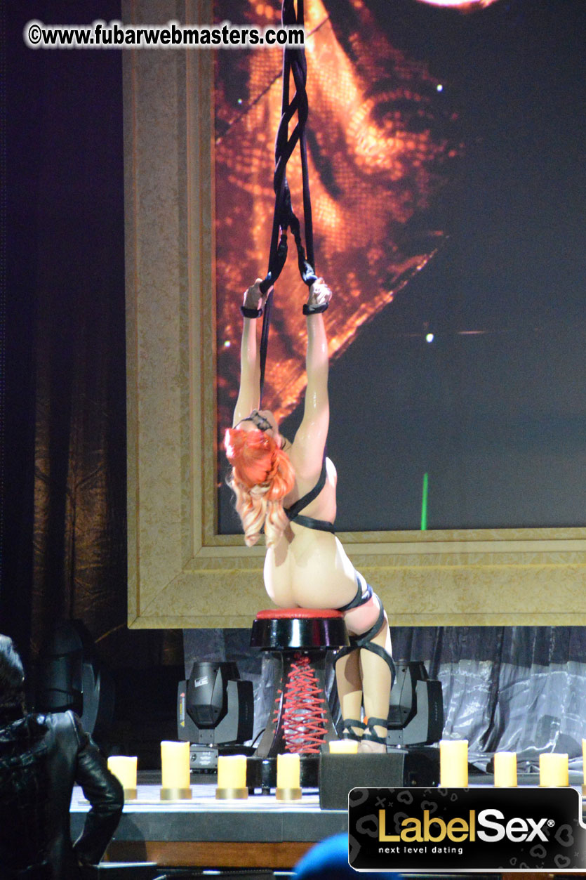 2013 AVN Awards Show