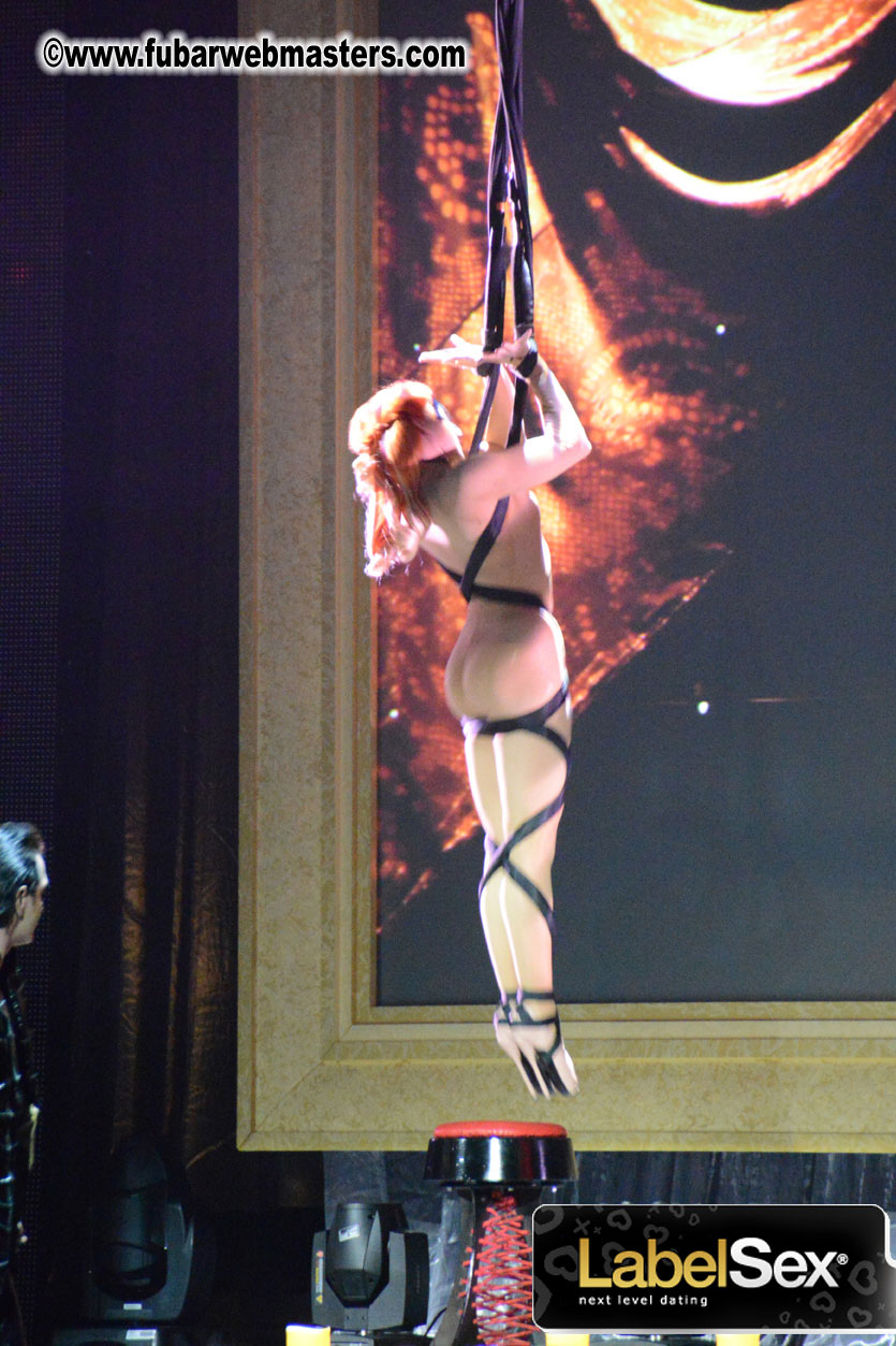 2013 AVN Awards Show