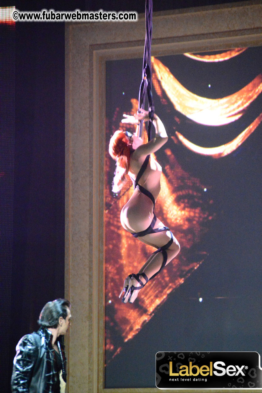 2013 AVN Awards Show