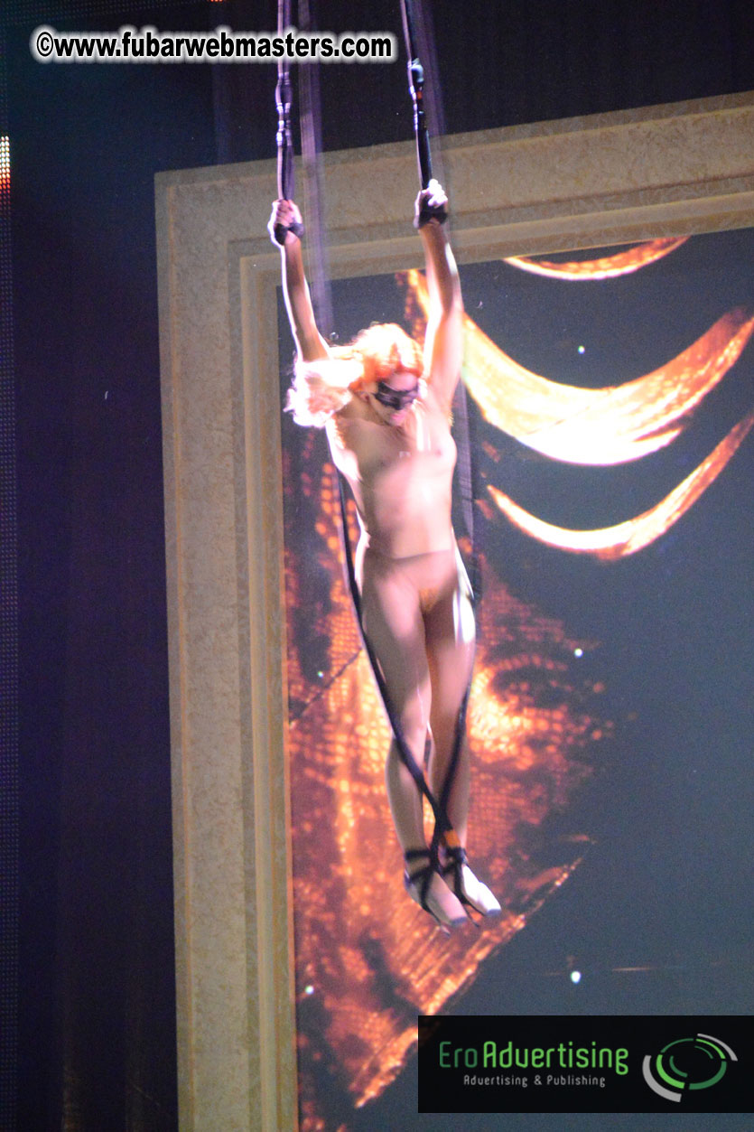 2013 AVN Awards Show