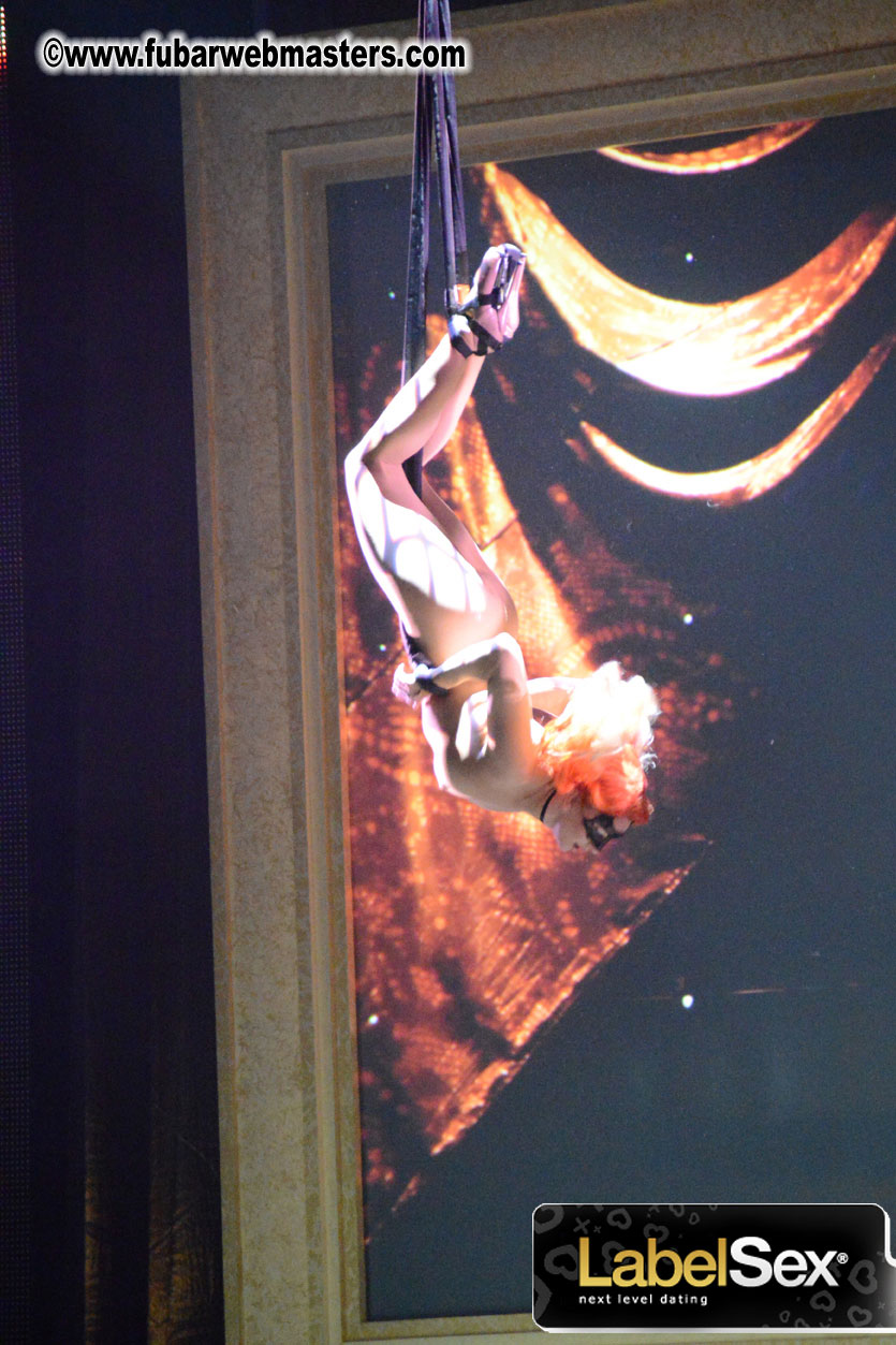 2013 AVN Awards Show