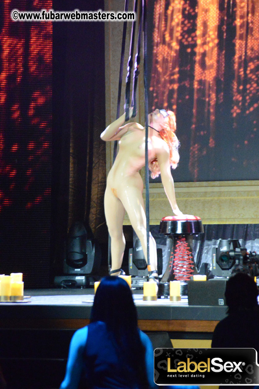 2013 AVN Awards Show