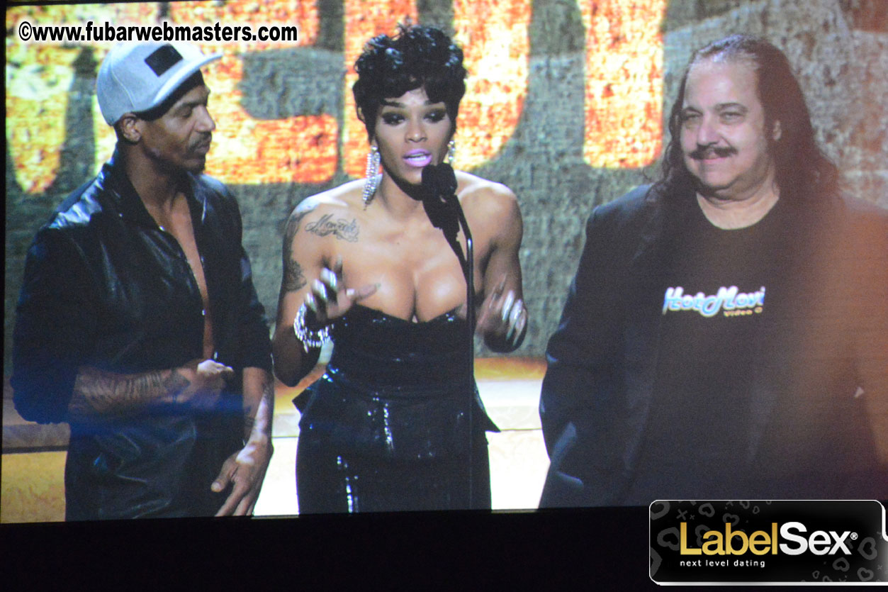 2013 AVN Awards Show