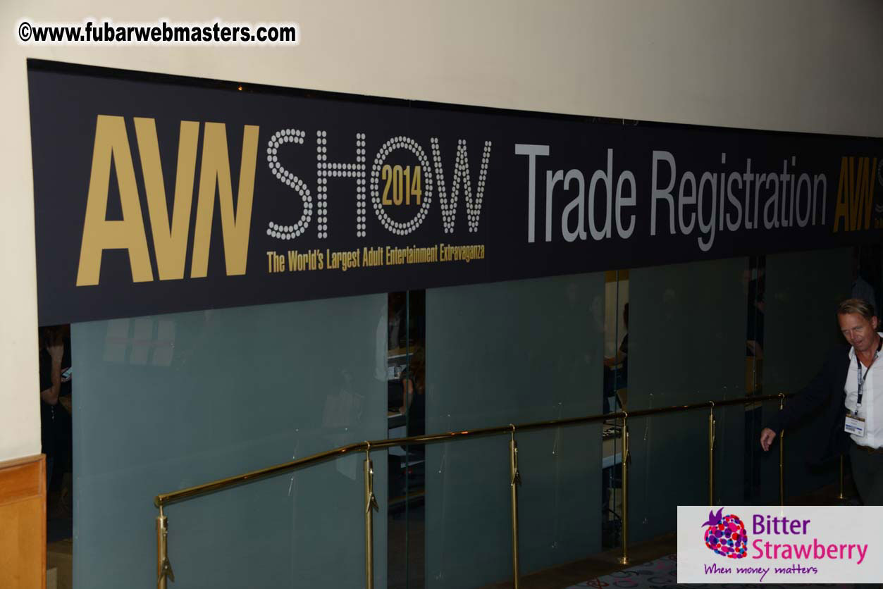 AVN Show floor