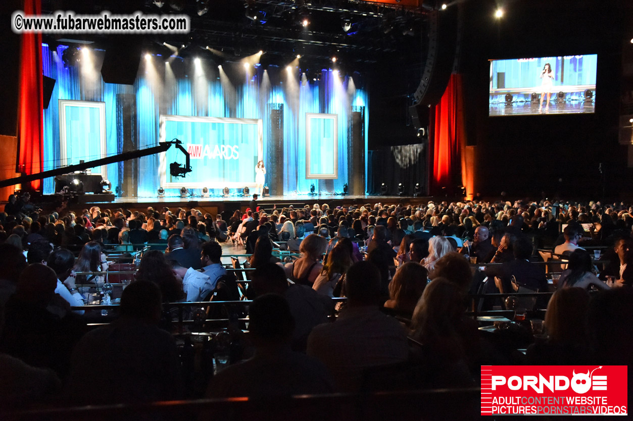 AVN Awards