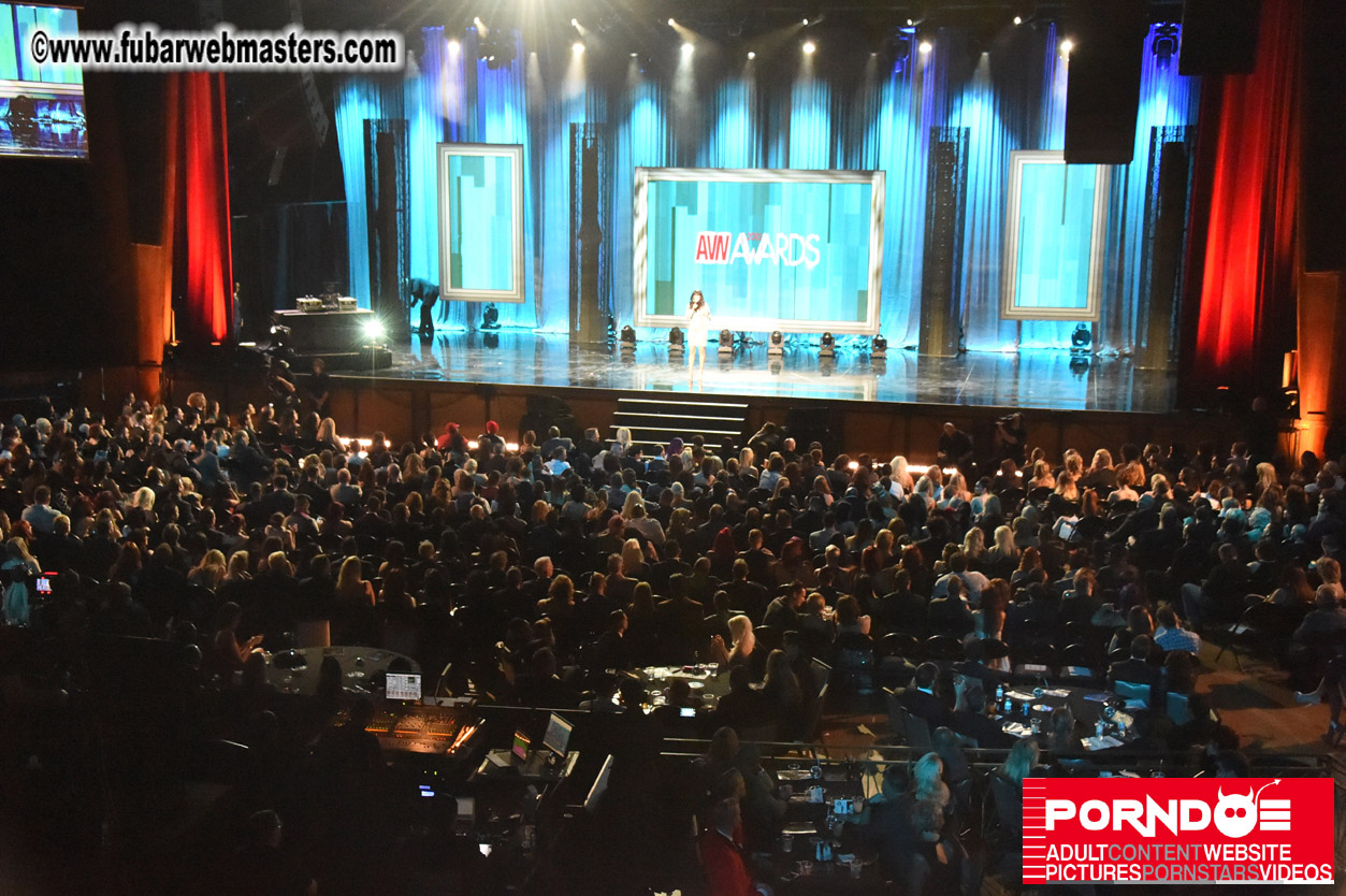 AVN Awards