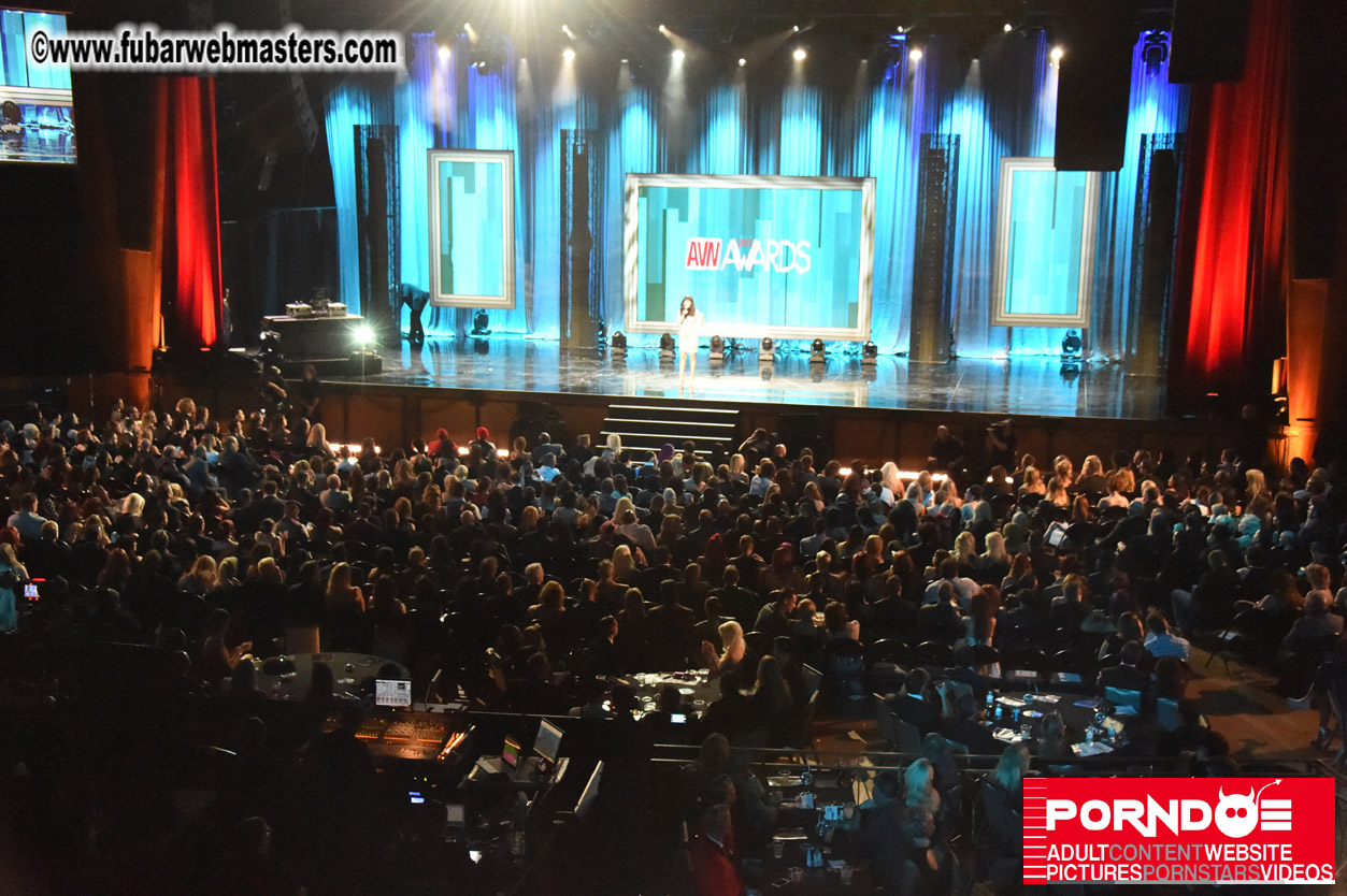 AVN Awards