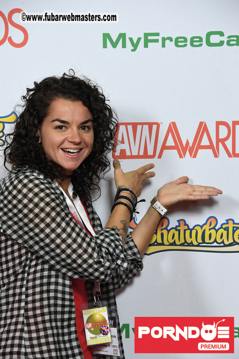 The 2017 AVN Awards