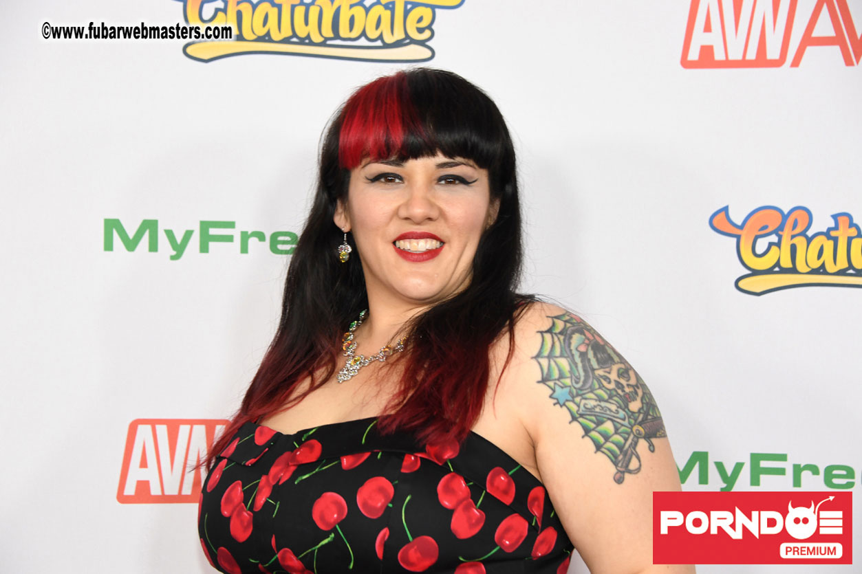 The 2017 AVN Awards
