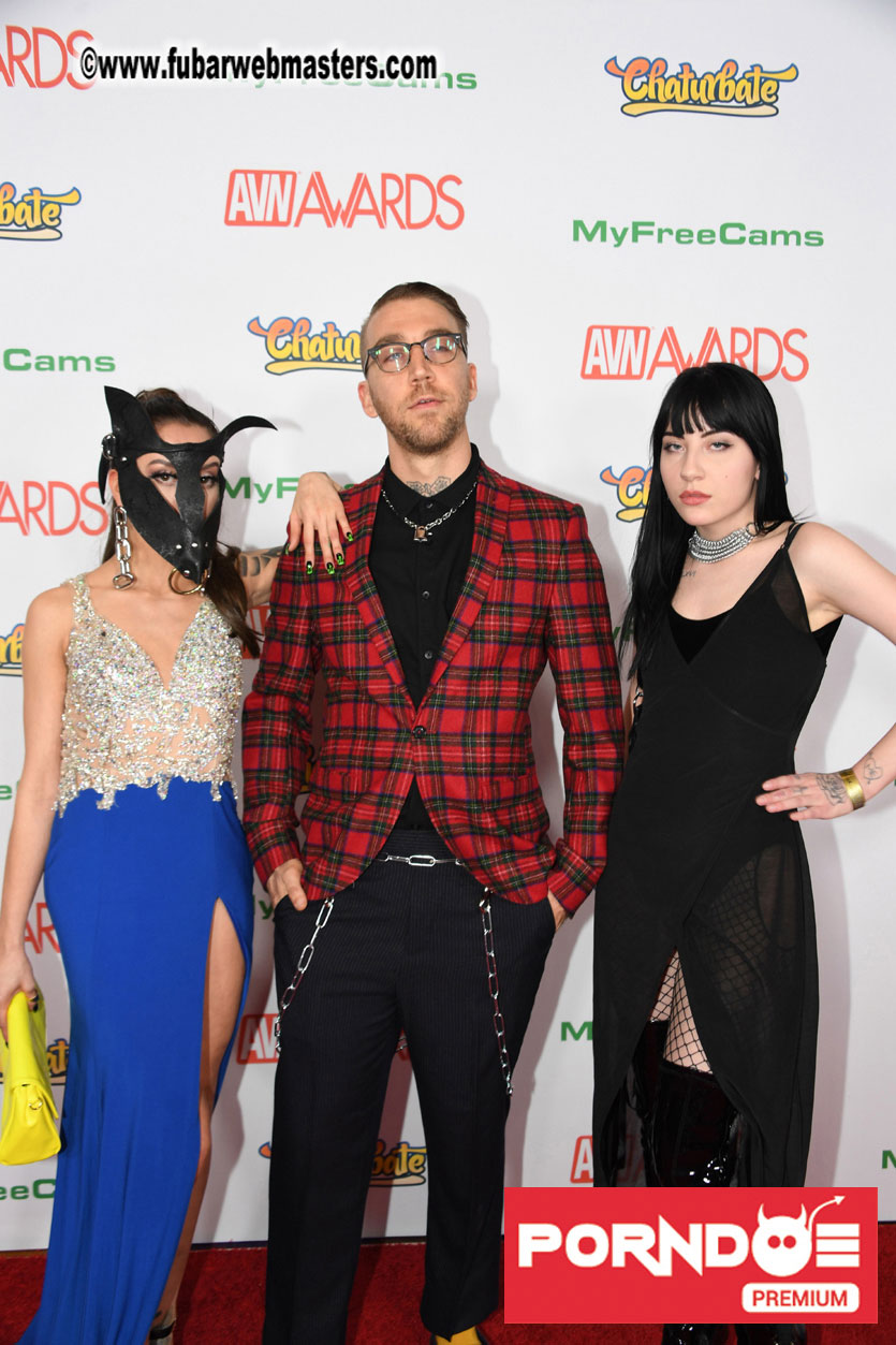 The 2017 AVN Awards