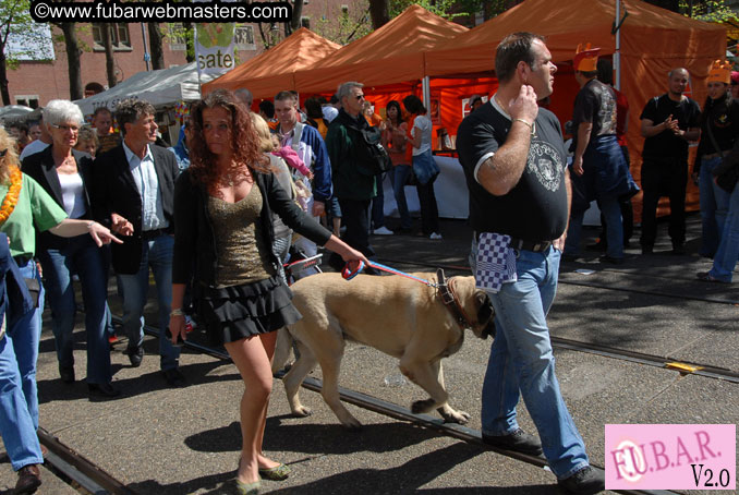 Queen's Day Celebrations