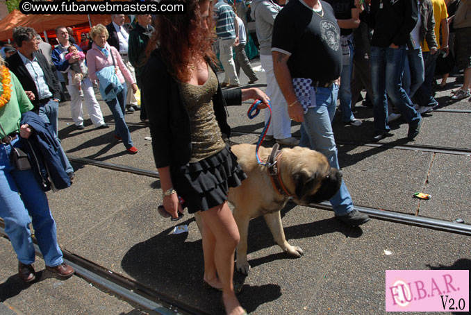 Queen's Day Celebrations