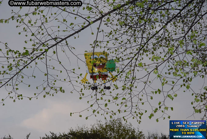 Stroll around Berlin