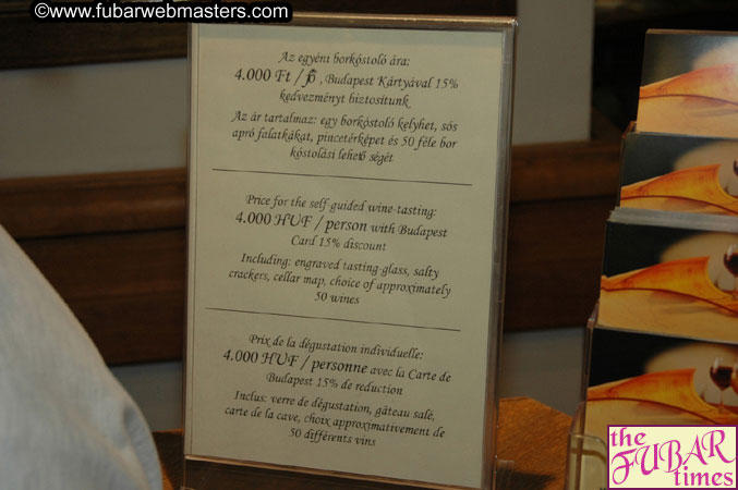 AOE Webmasters Tour of Budapest