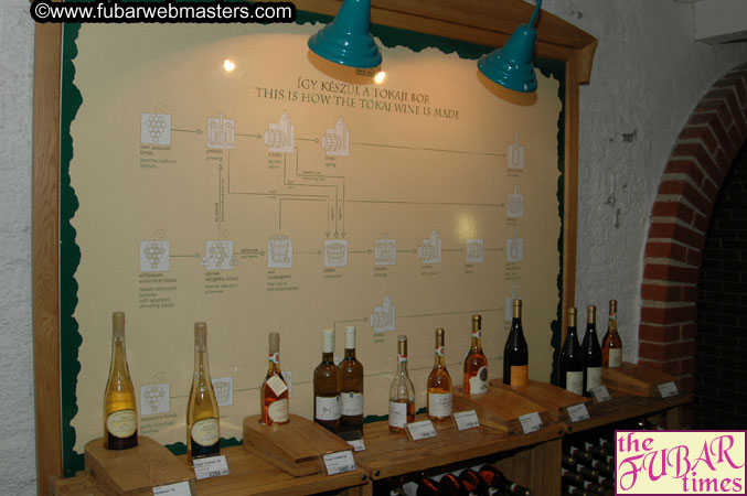 AOE Webmasters Tour of Budapest