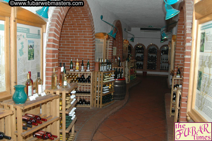 AOE Webmasters Tour of Budapest