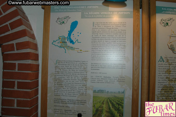 AOE Webmasters Tour of Budapest