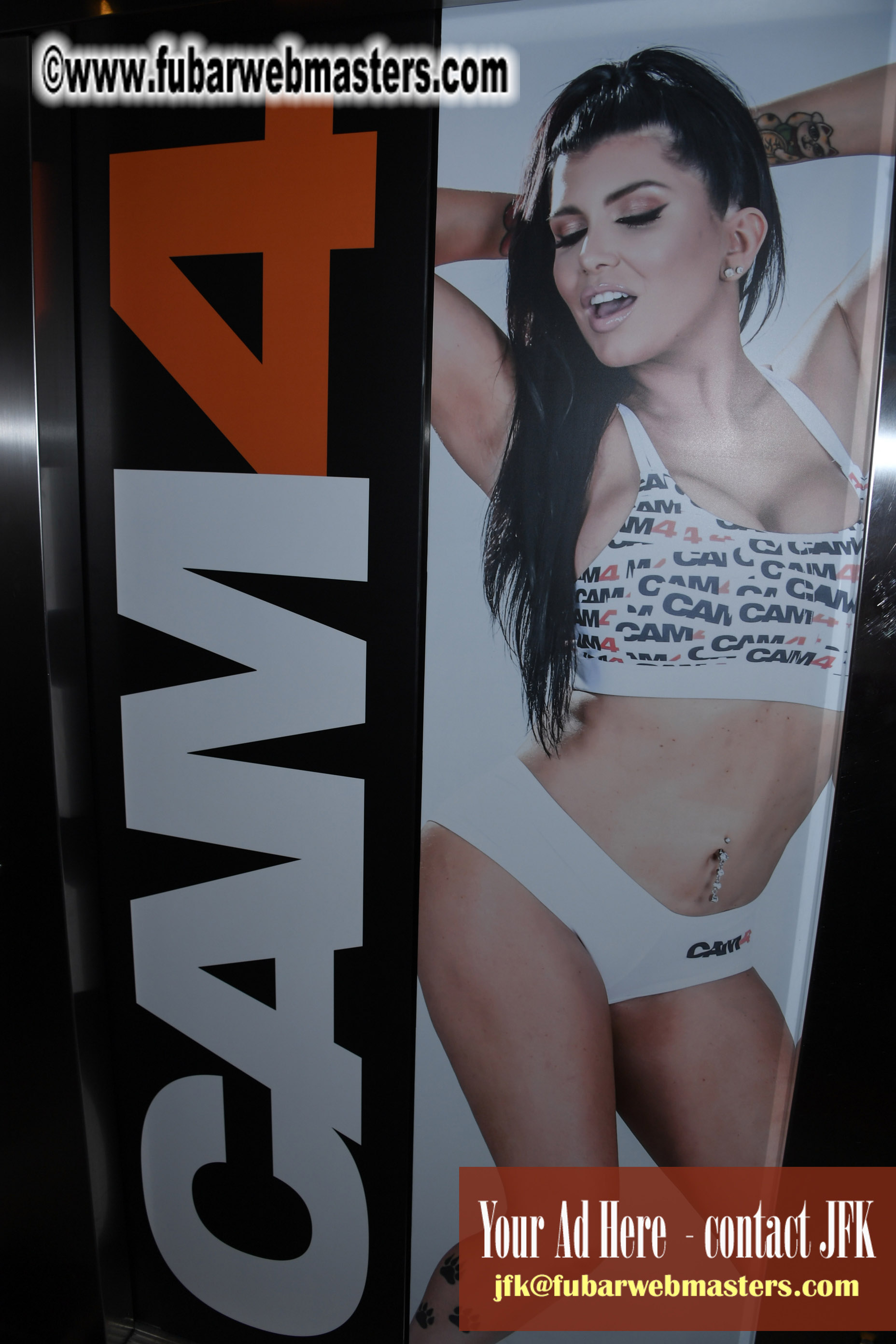 The AVN Show