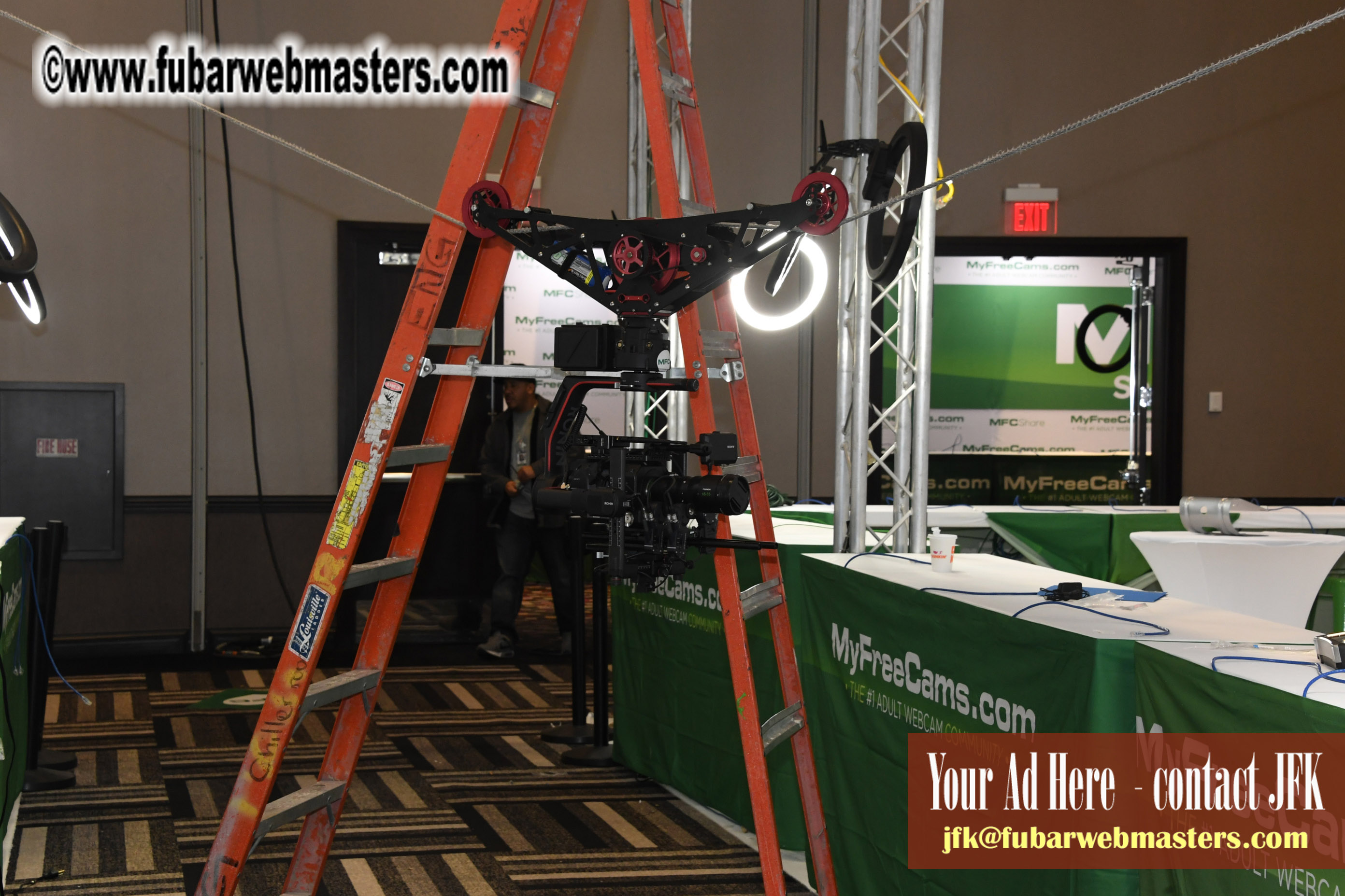 The AVN Show