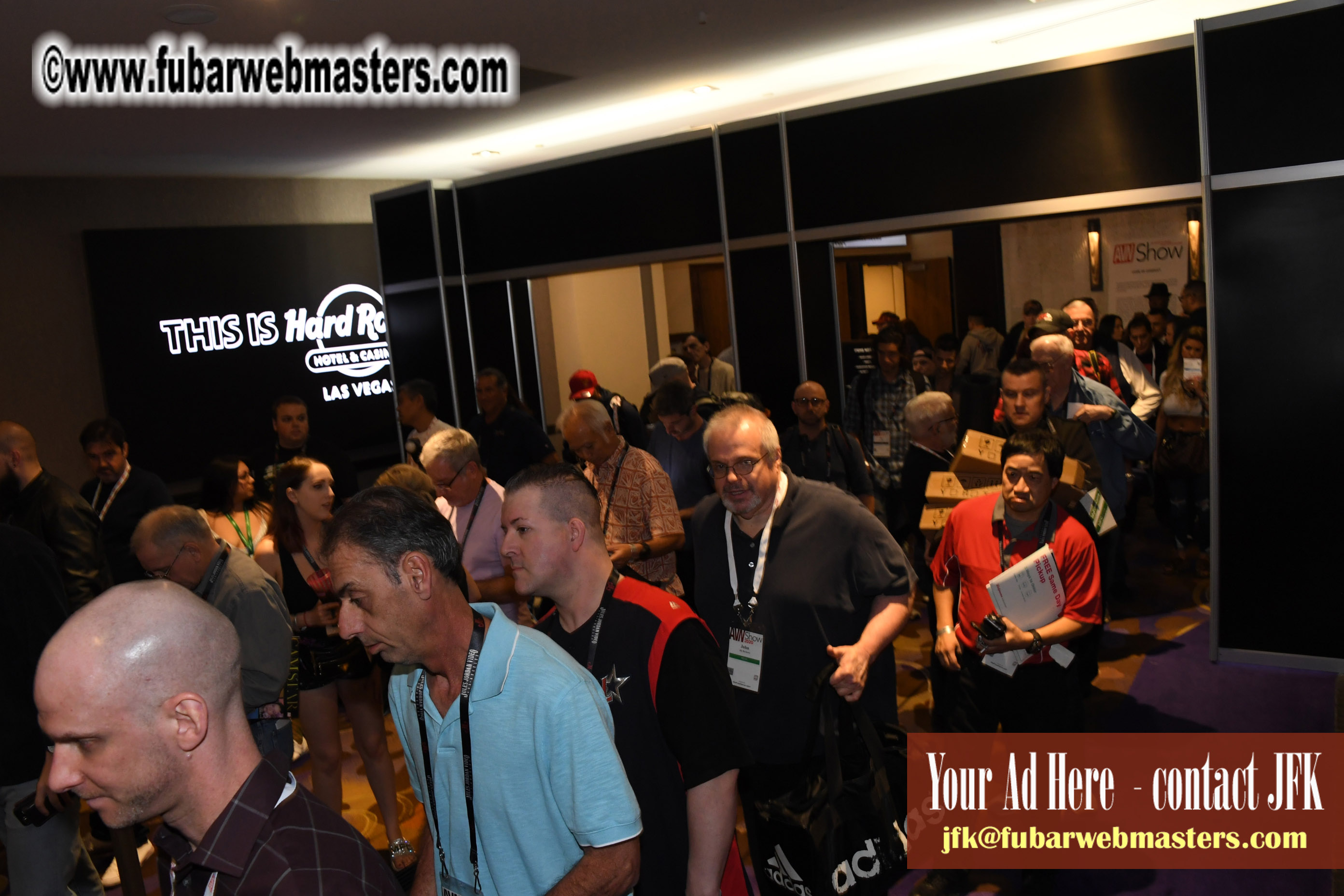 The AVN Show