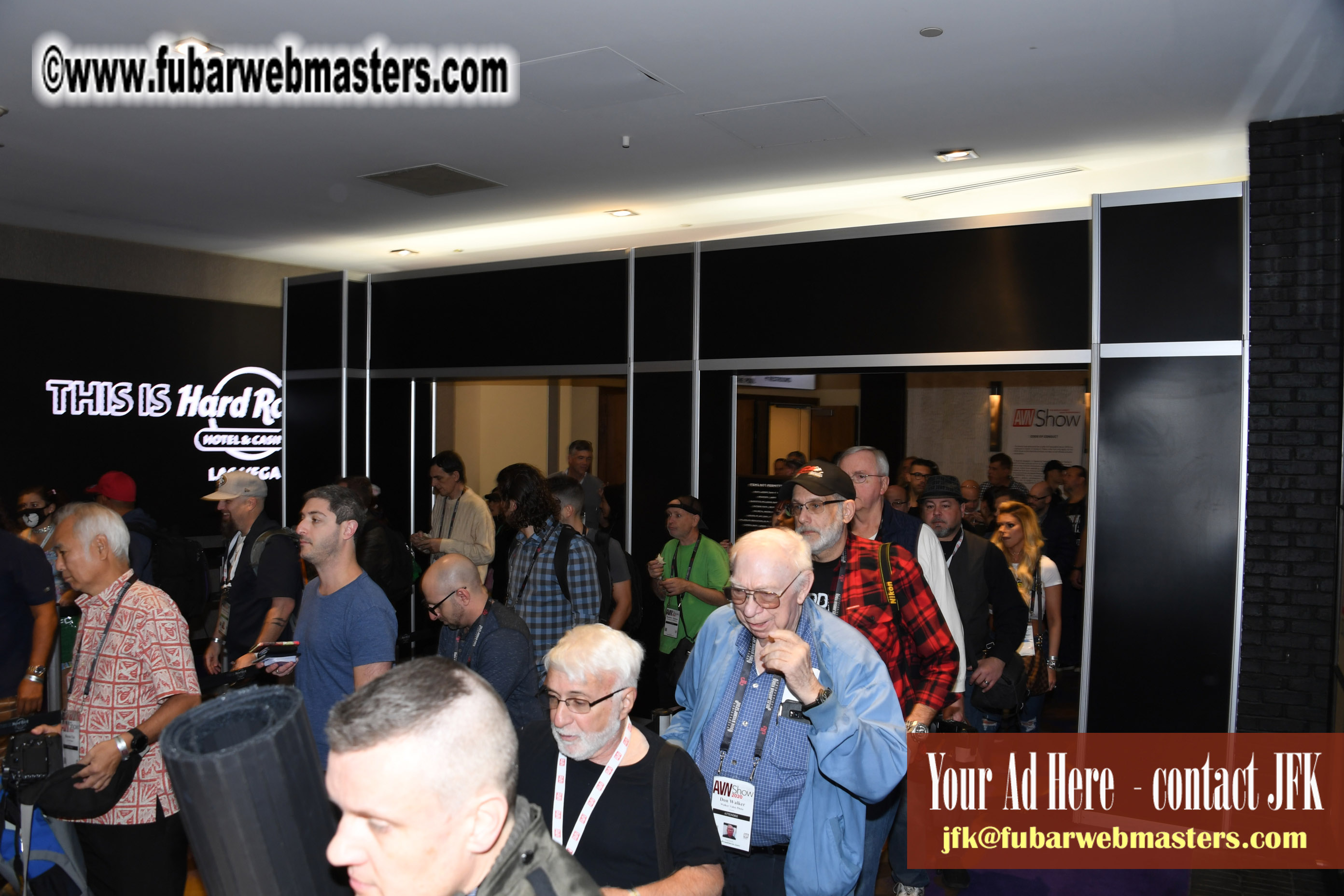 The AVN Show