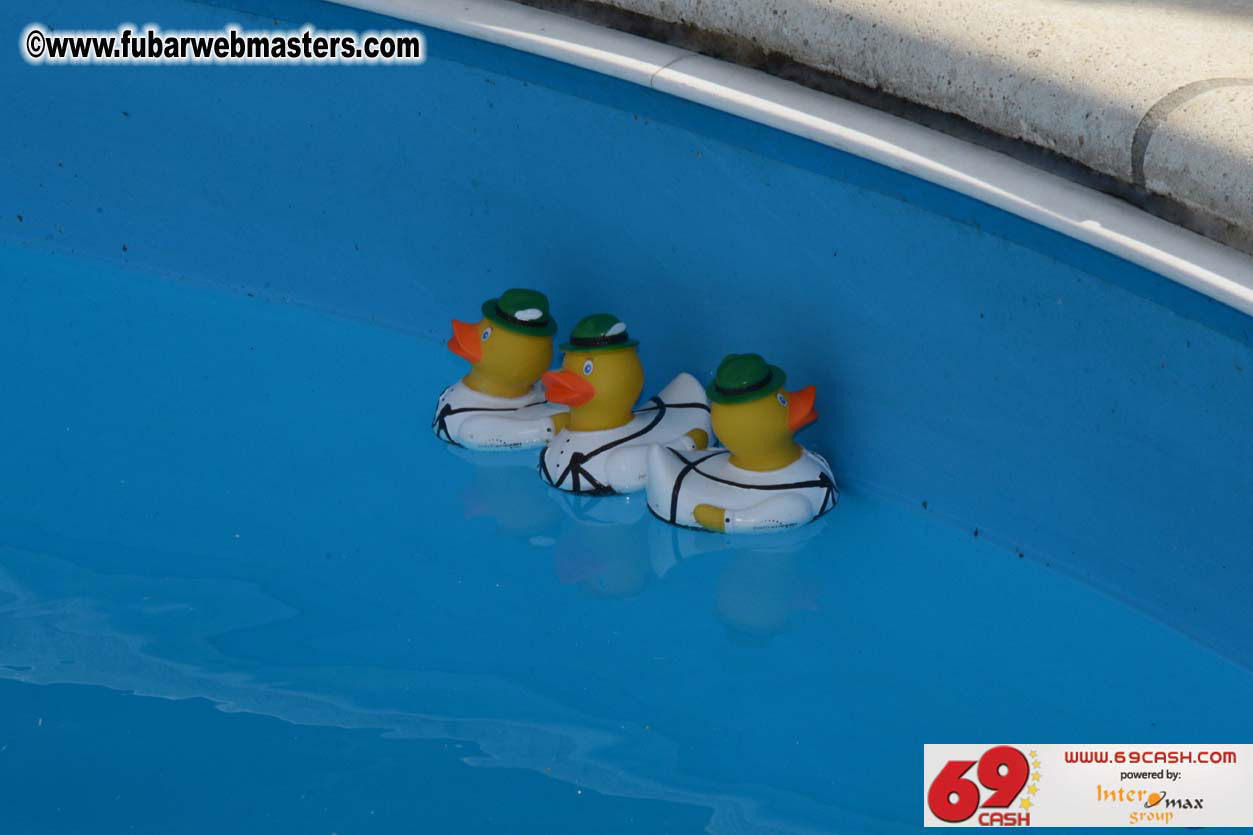 Adult Webmaster Meeting day