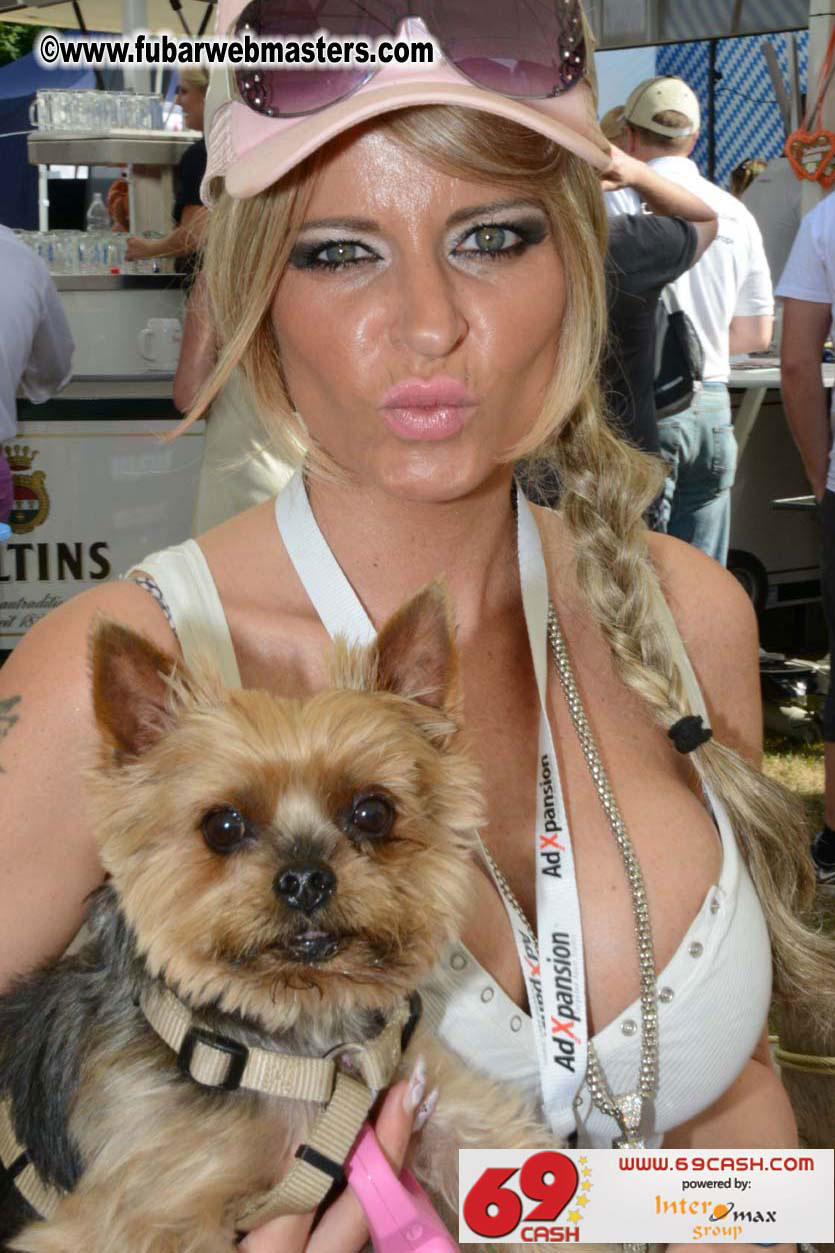 Adult Webmaster Meeting day