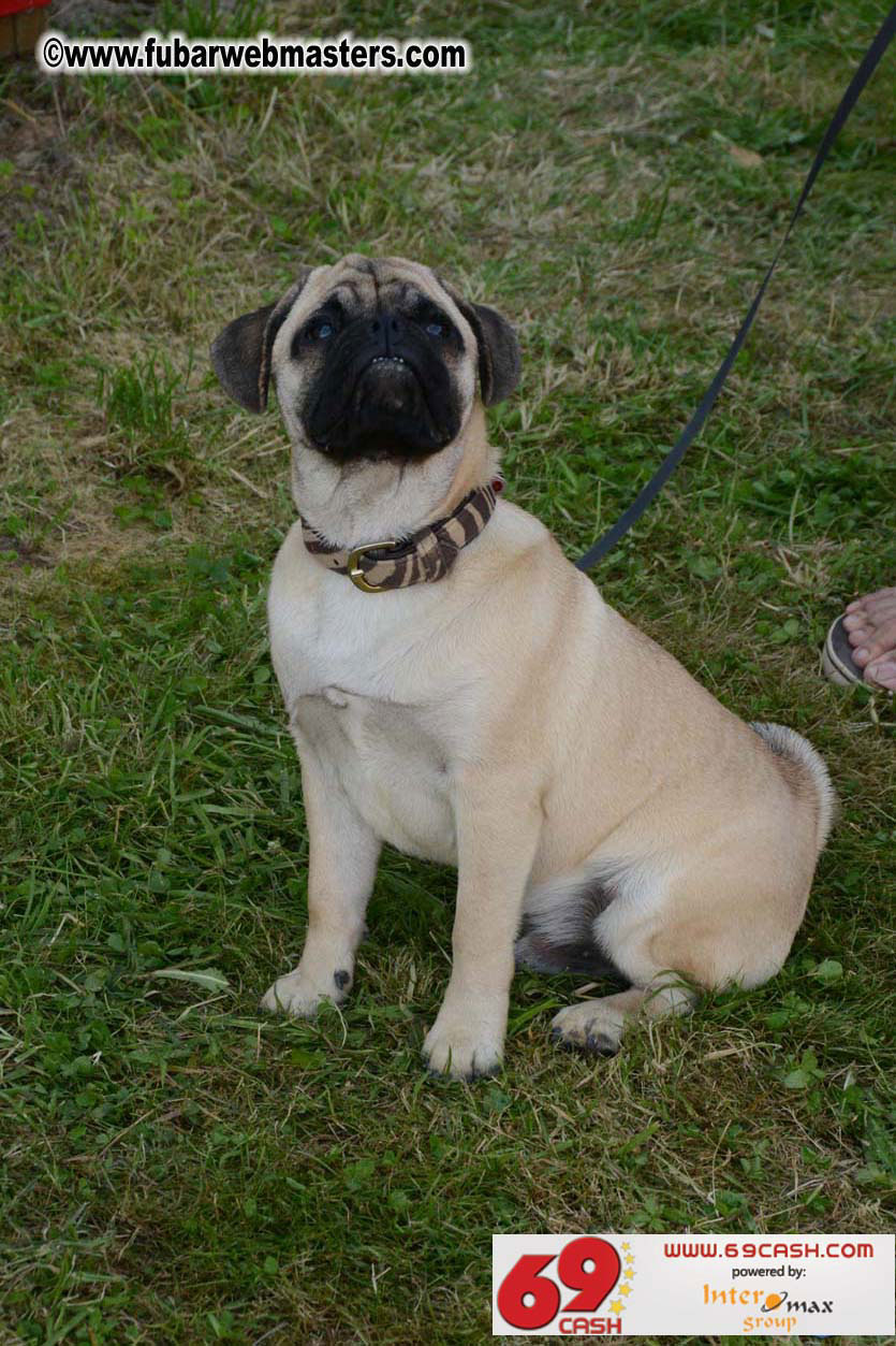 Adult Webmaster Meeting day