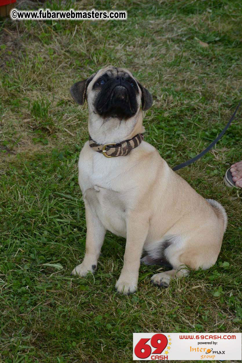 Adult Webmaster Meeting day