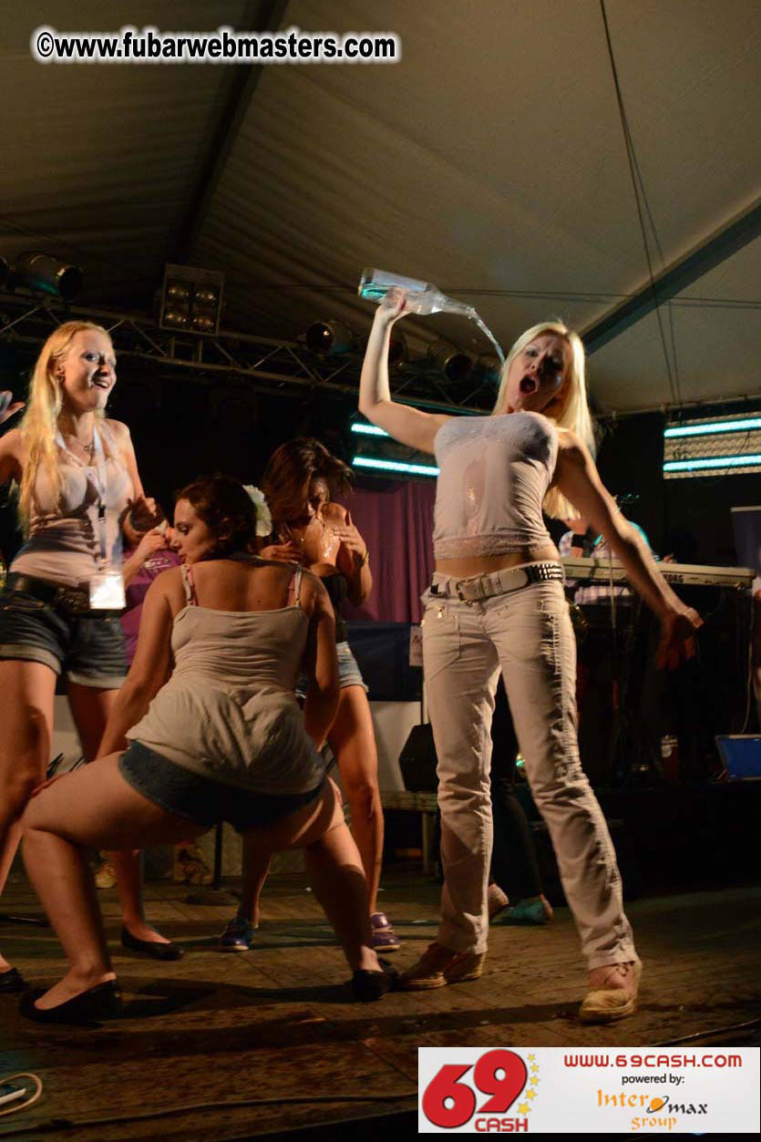 Adult Webmaster Meeting Evening Party