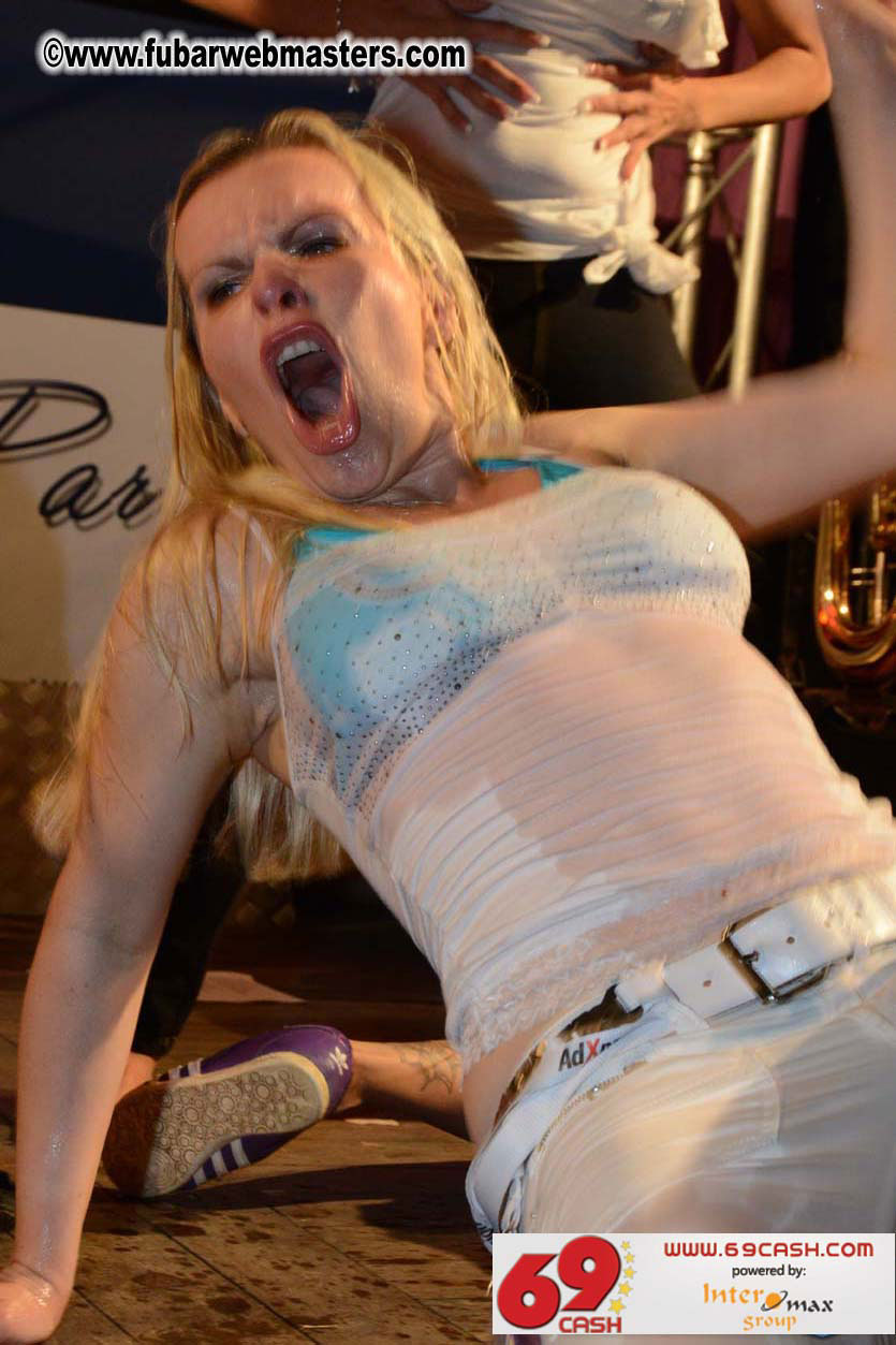 Adult Webmaster Meeting Evening Party