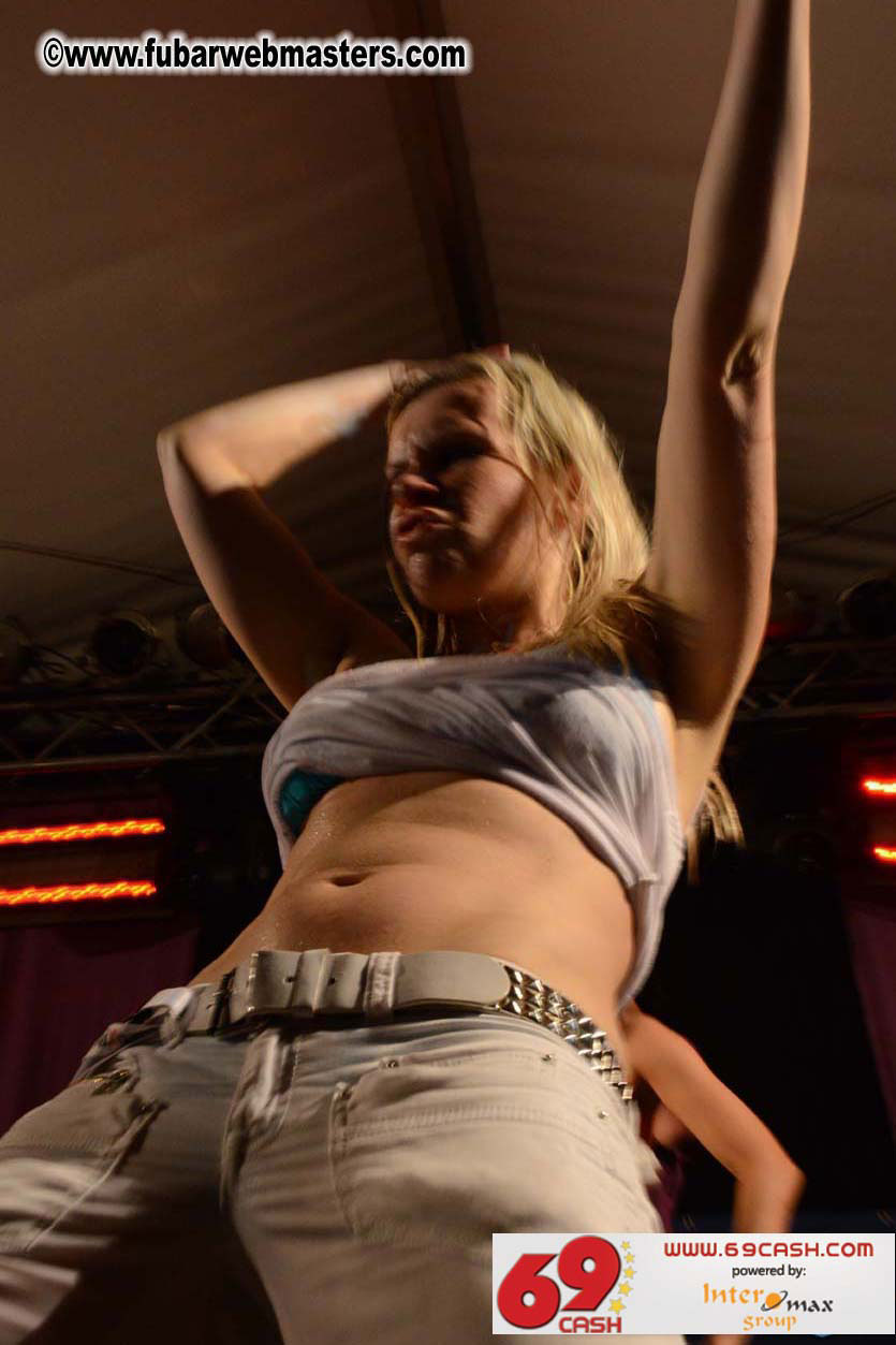 Adult Webmaster Meeting Evening Party