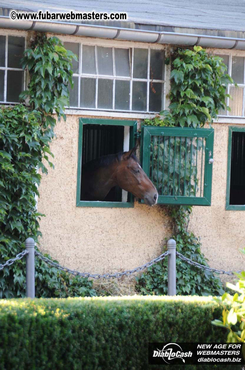 Schloss Bothmer Hotel and surroundings