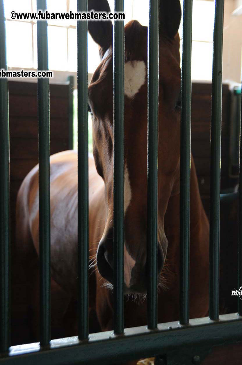 Schloss Bothmer Hotel and surroundings