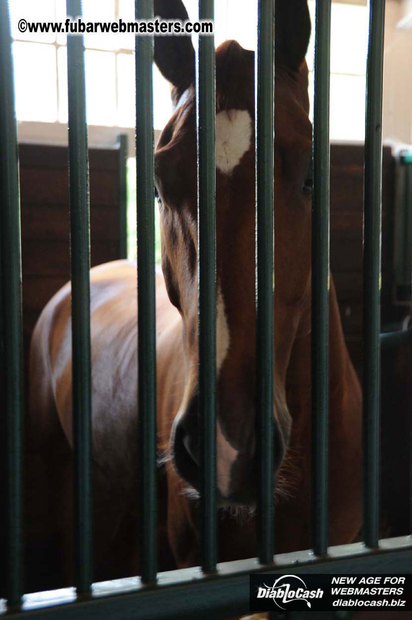 Schloss Bothmer Hotel and surroundings