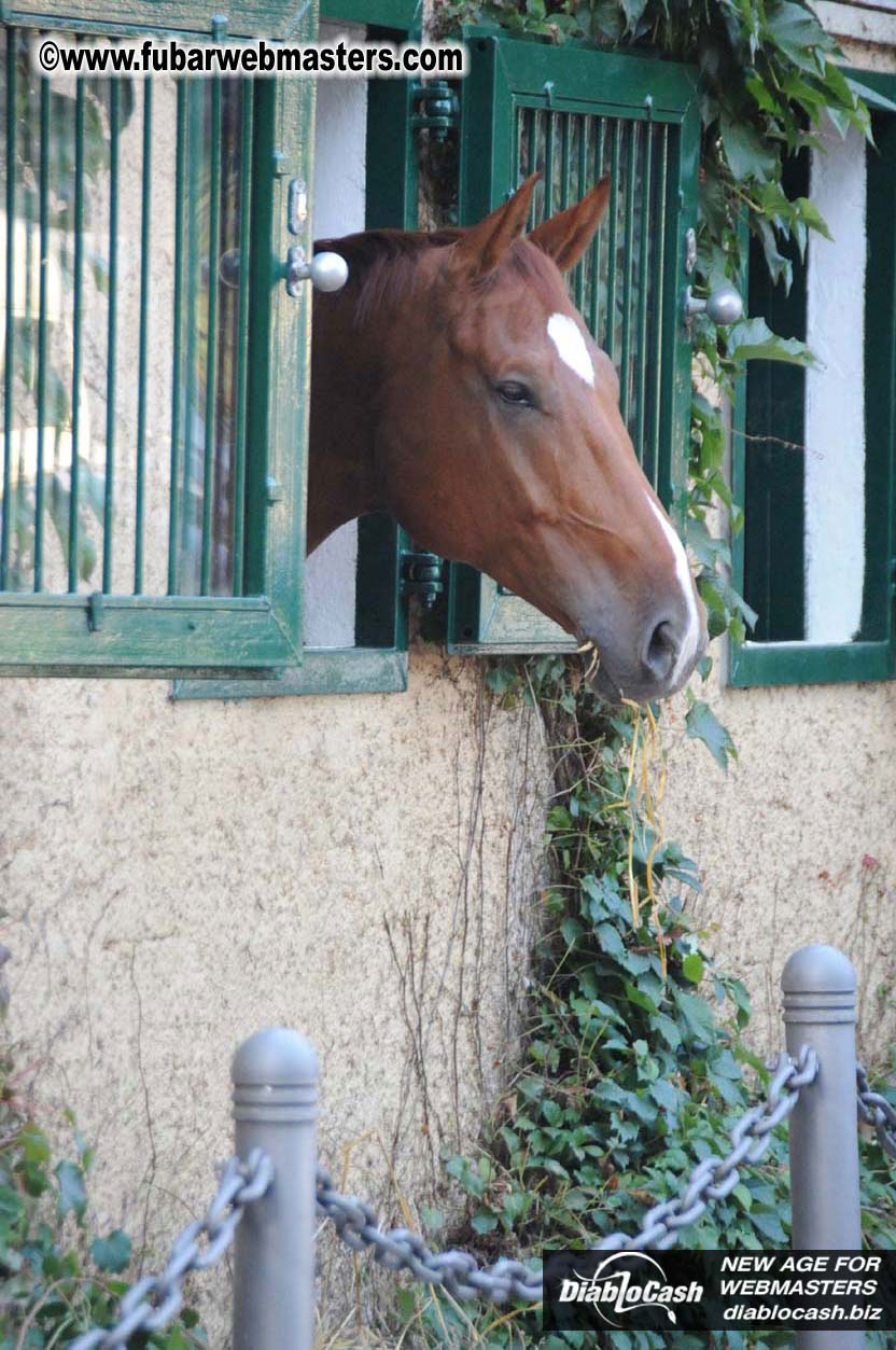 Schloss Bothmer Hotel and surroundings