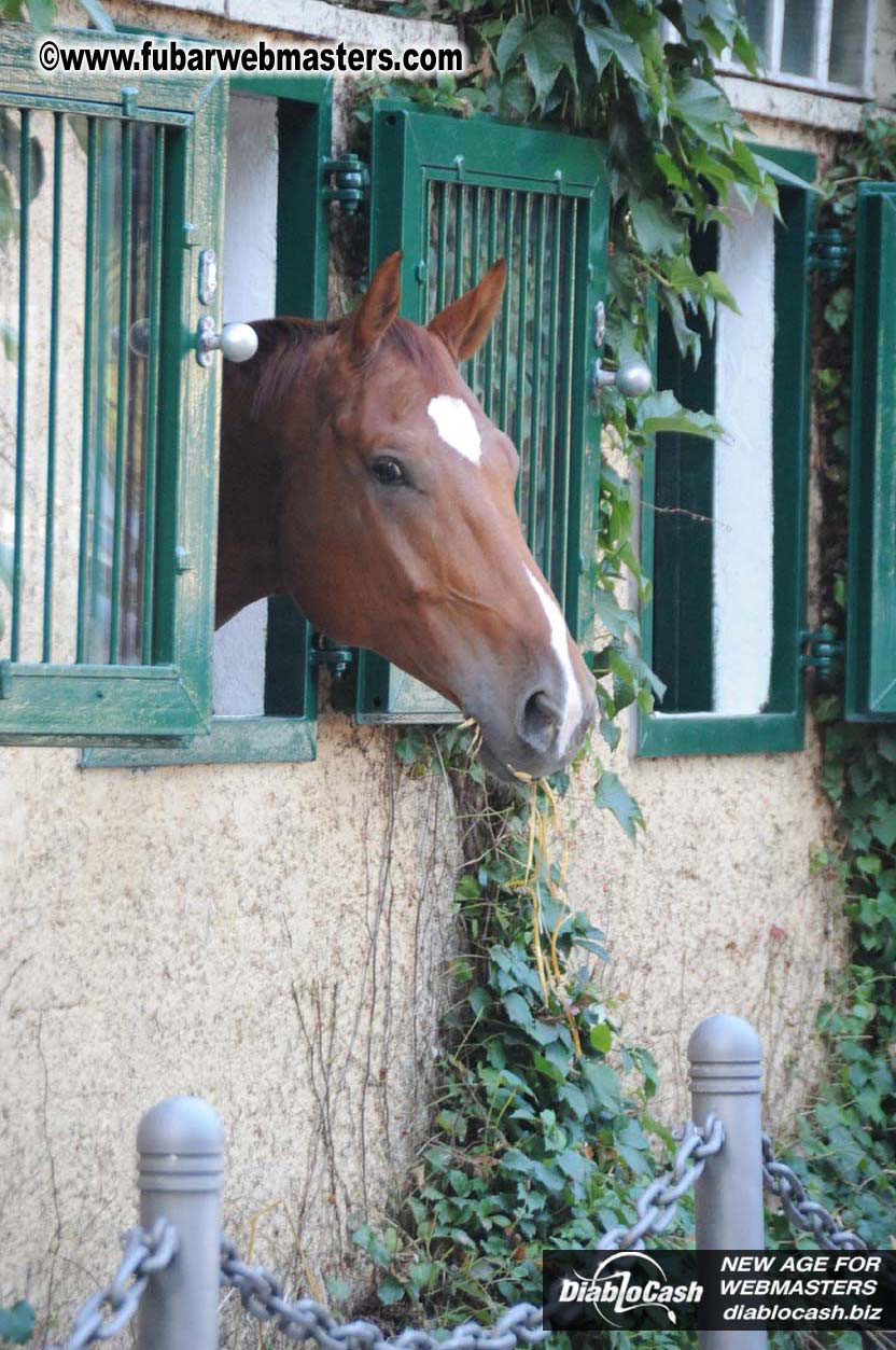 Schloss Bothmer Hotel and surroundings