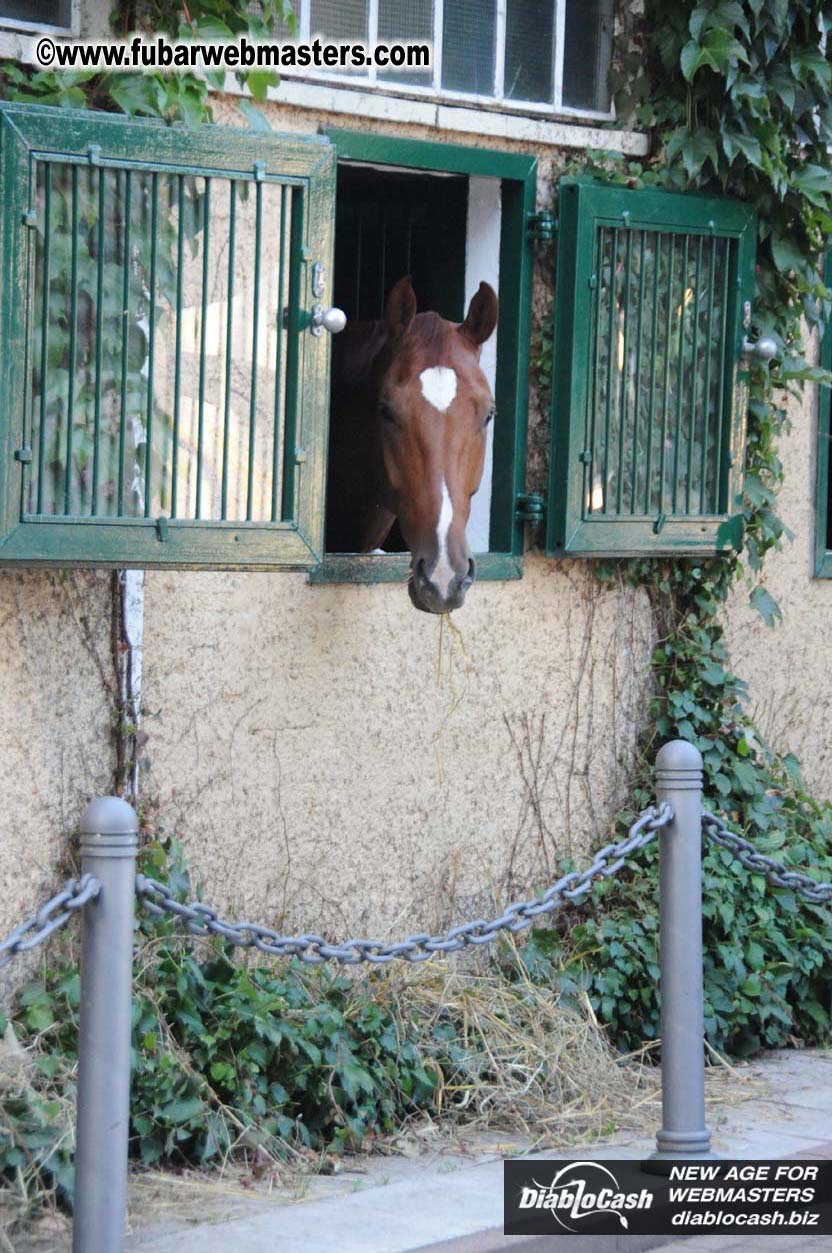 Schloss Bothmer Hotel and surroundings