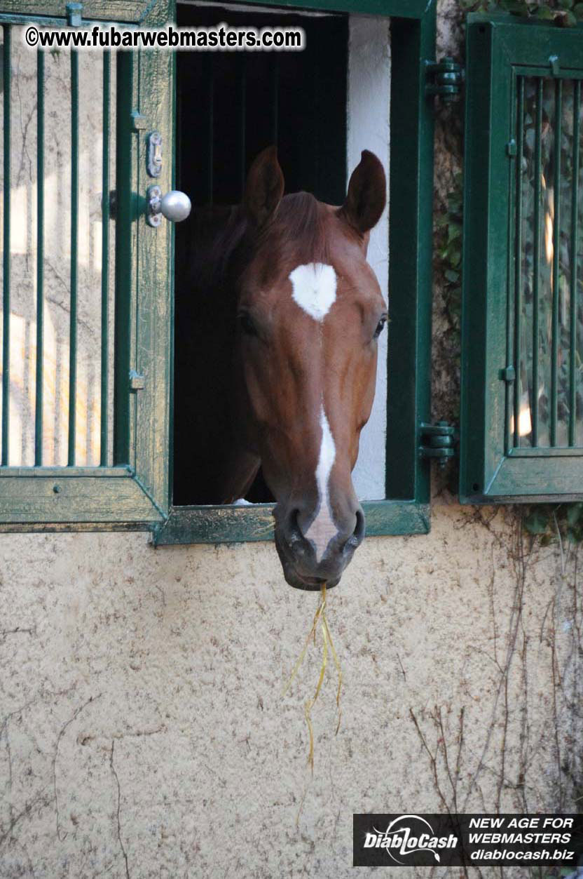 Schloss Bothmer Hotel and surroundings
