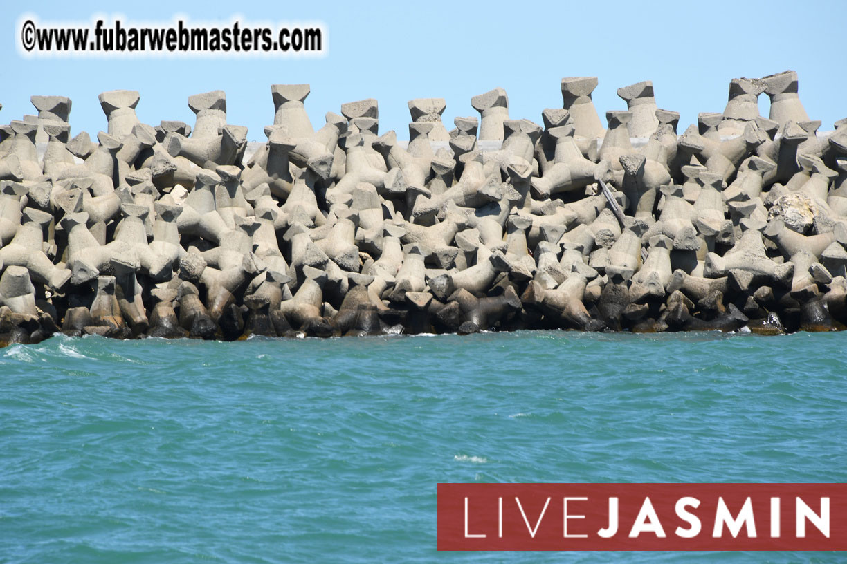 Streamate VIP Cruise