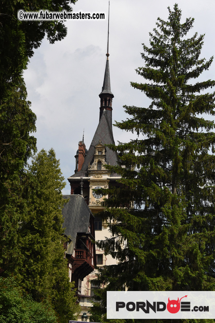 Road Trip to Transylvania