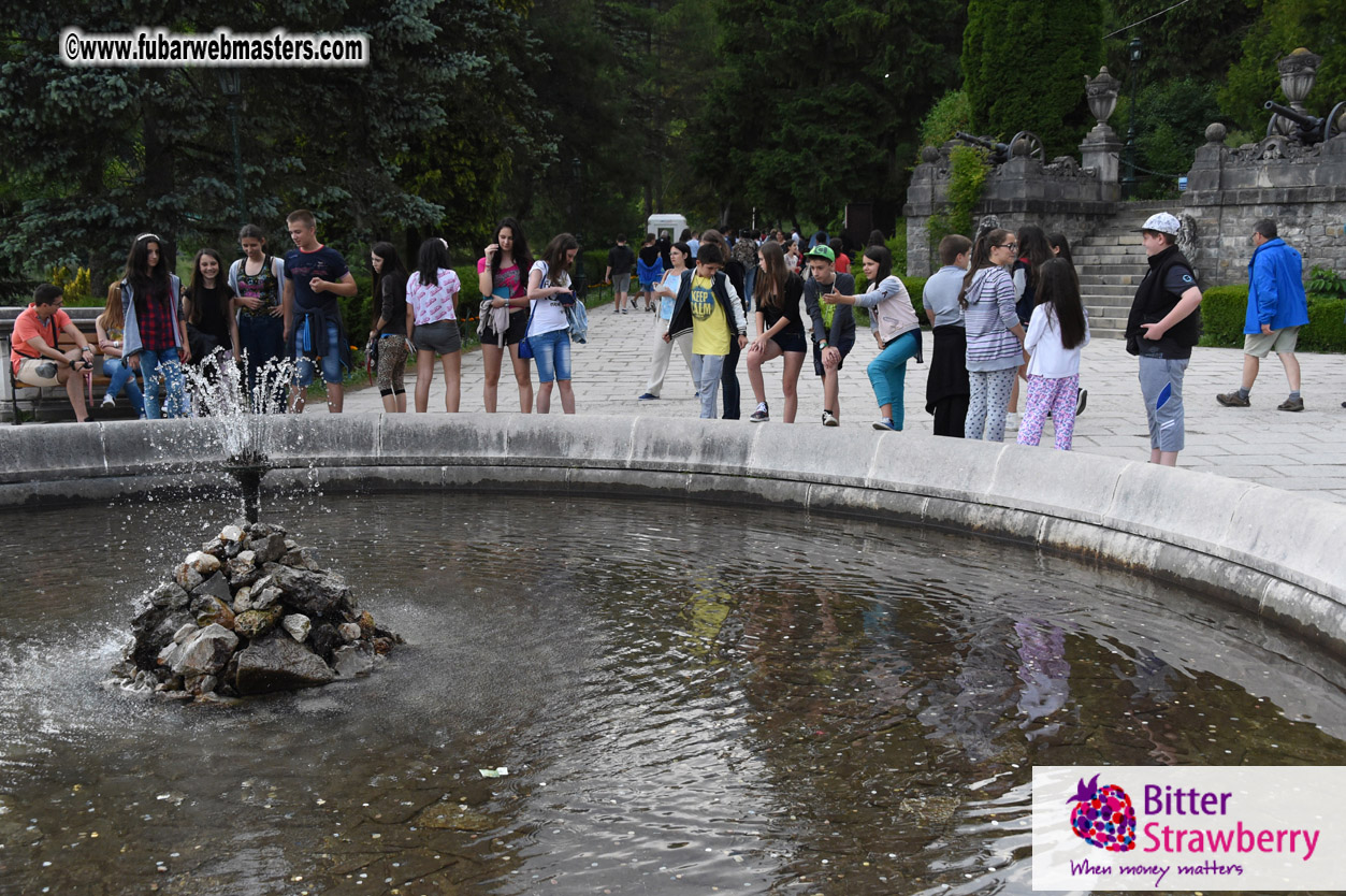 Road Trip to Transylvania