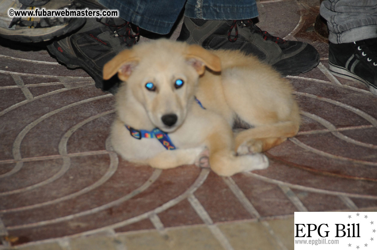 Early Arrivals & Beach Scenes